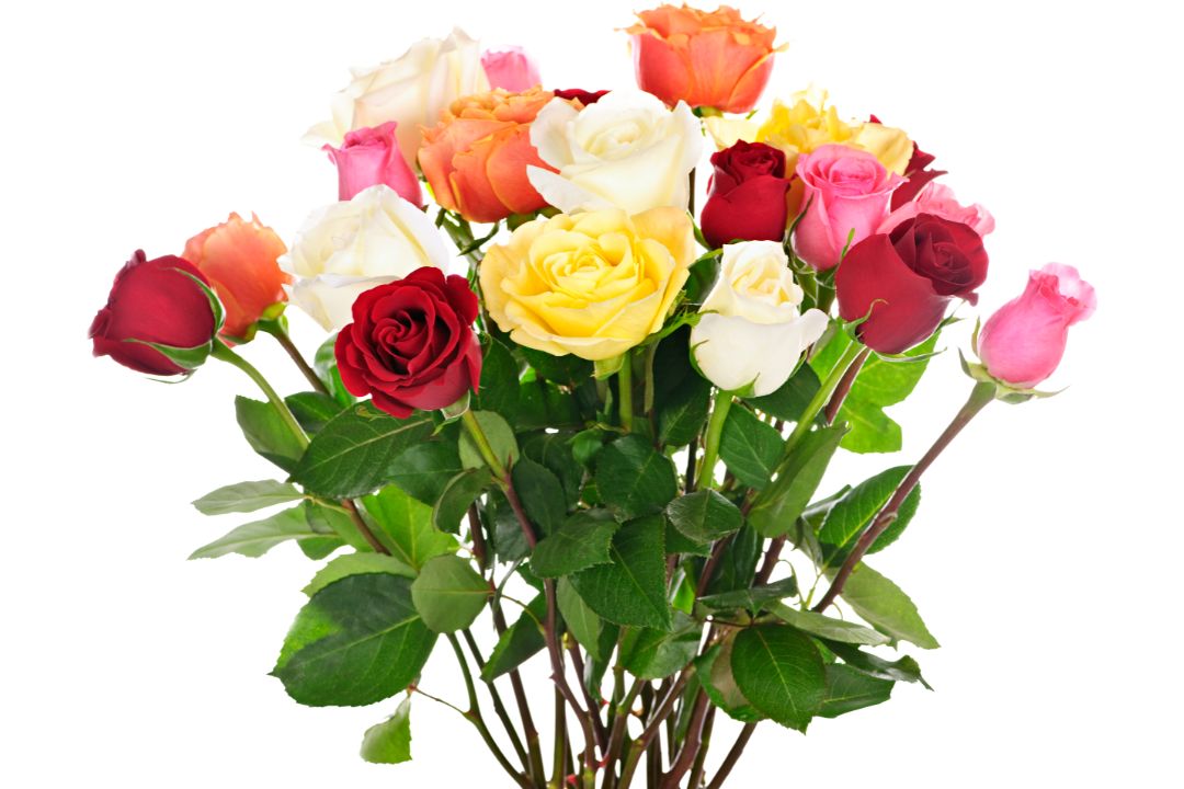 You are currently viewing Bouquet of Flowers Wedding: Choosing the Perfect Blooms for Your Day